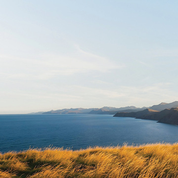 Back to normal again after my cancer scare