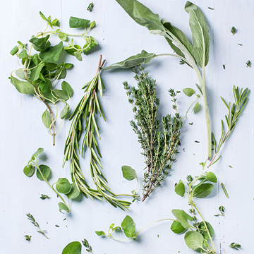 Herbs, vitamins and minerals for stress