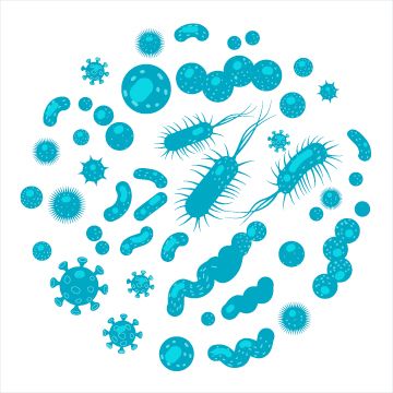Understanding your Microbiome/Gut bacteria